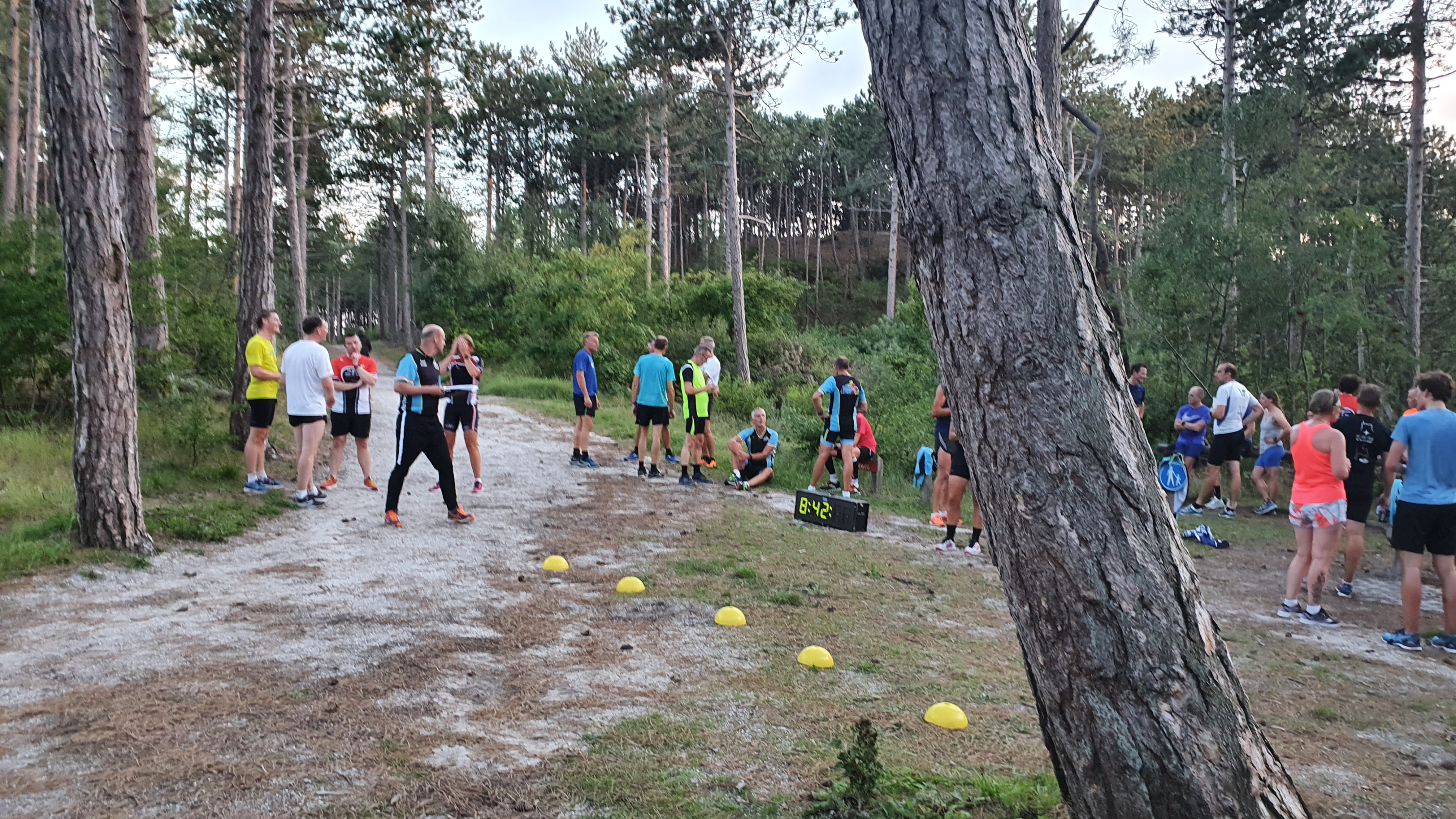 Groot deelnemersveld bij de bosloop in Schoorl