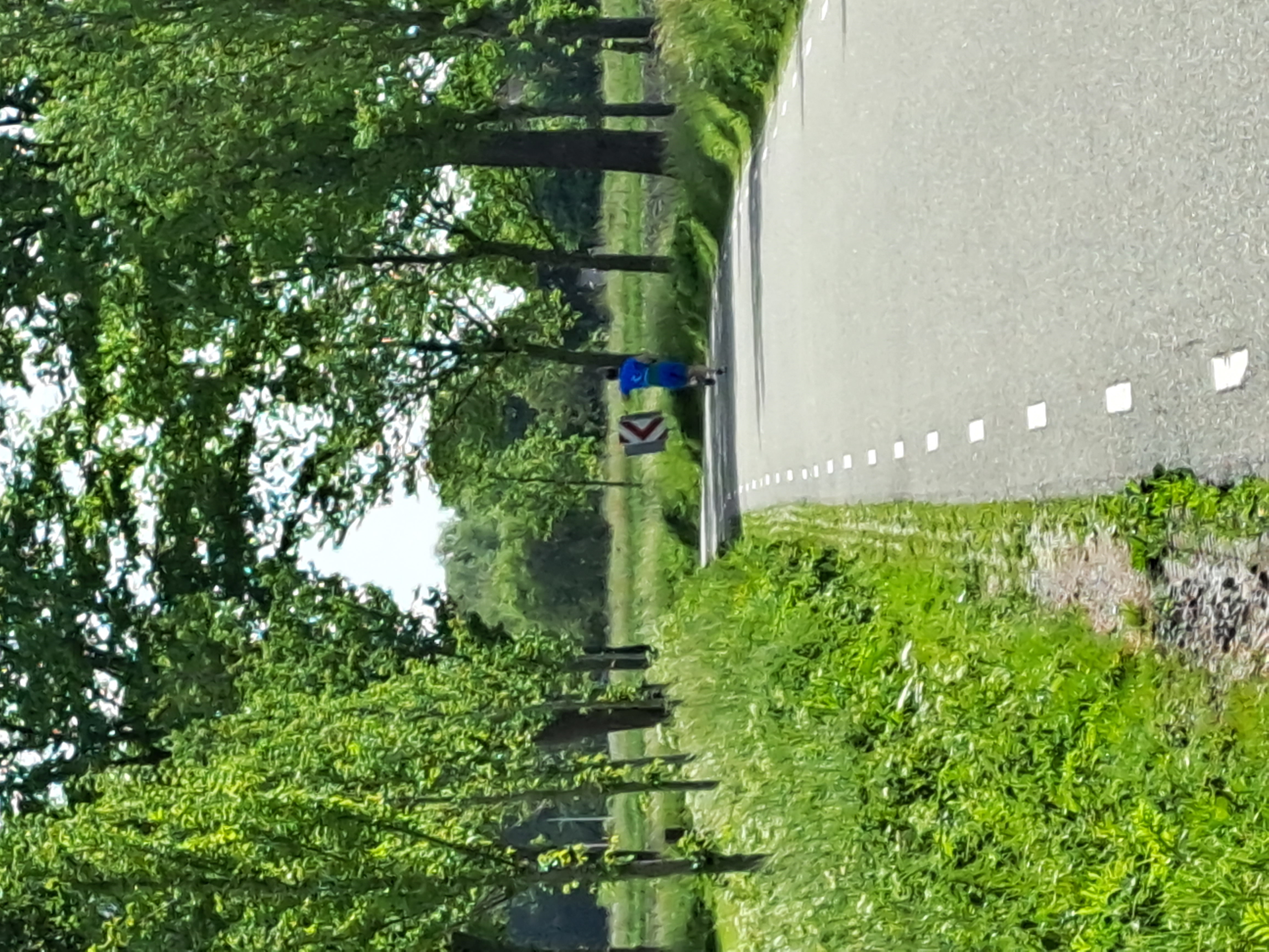 Run-Bike-Run-Bike-Run in Waarland - zondag 21 mei