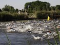 Triathlon Langedijk 2023