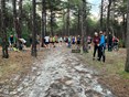 Bosloop 7km  - 3 september 2025
